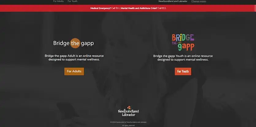 BRIDGE THE GAPP Image