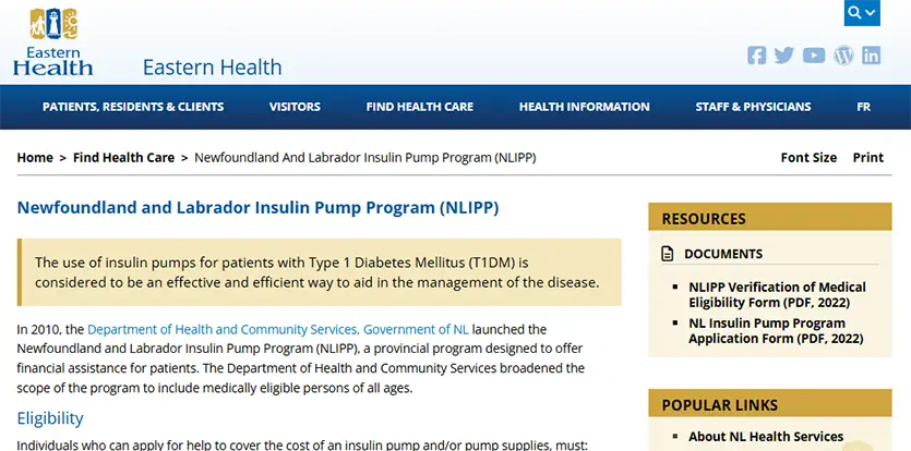 THE NEWFOUNDLAND AND LABRADOR INSULIN PUMP PROGRAM Image