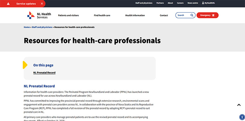 THE PERINATAL PROGRAM NEWFOUNDLAND AND LABRADOR (PPNL)  Image